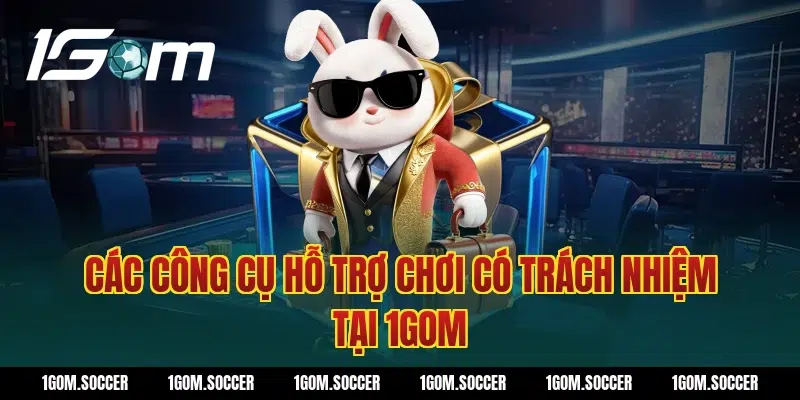 Các Công Cụ Hỗ Trợ Chơi Có Trách Nhiệm Tại 1GOM