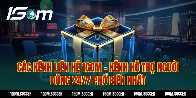 Các kênh Liên Hệ 1GOM – Kênh Hỗ Trợ Người Dùng 24/7 phổ biến nhất