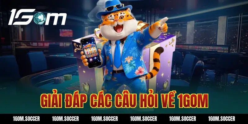 Giải đáp các câu hỏi về 1Gom
