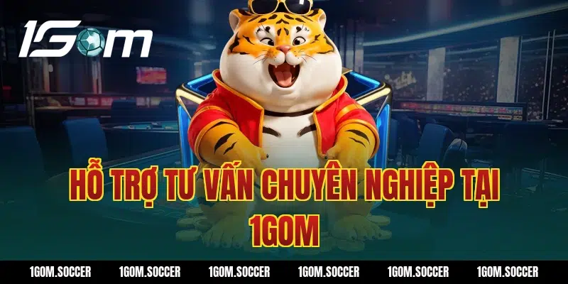 Hỗ Trợ Tư Vấn Chuyên Nghiệp Tại 1GOM