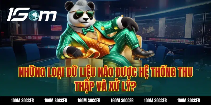 Những loại dữ liệu nào được hệ thống thu thập và xử lý?