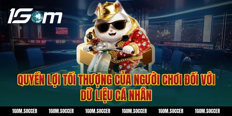 Quyền lợi tối thượng của người chơi đối với dữ liệu cá nhân