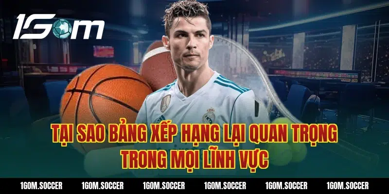 Tại sao Bảng Xếp Hạng lại quan trọng trong mọi lĩnh vực