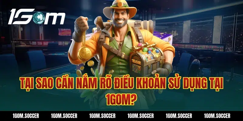 Tại Sao Cần Nắm Rõ Điều Khoản Sử Dụng Tại 1Gom?