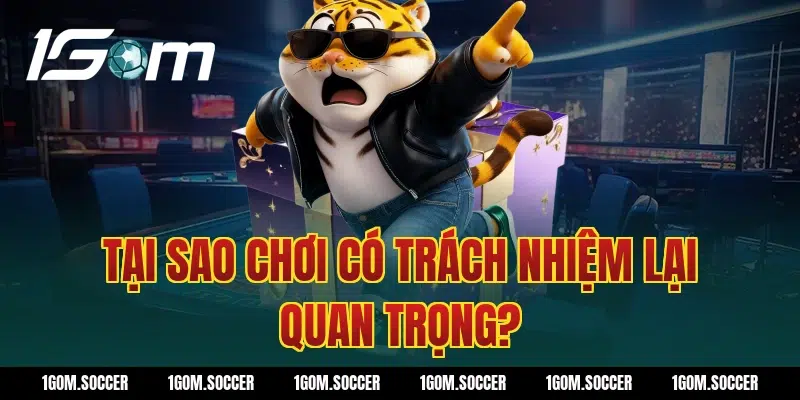 Tại Sao Chơi Có Trách Nhiệm Lại Quan Trọng?